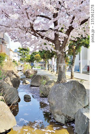 六辻水辺公園(さいたま市南区) 六辻水辺公園(さいたま市南区) 135361278