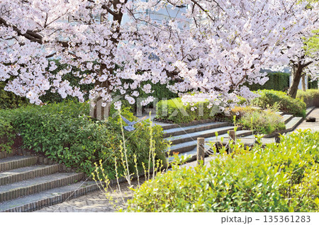 六辻水辺公園(さいたま市南区) 六辻水辺公園(さいたま市南区) 135361283