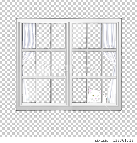 Cat looking out of the window 135361313