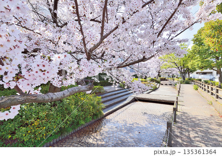 六辻水辺公園(さいたま市南区) 六辻水辺公園(さいたま市南区) 135361364