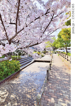 六辻水辺公園（さいたま市南区） 135361365