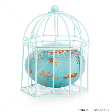 Decorative egg inside a small metal cage in a light color 135361495