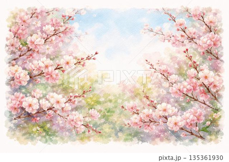 梅林　梅の花　満開　水彩画 135361930