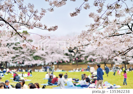 蕨市民公園 135362238