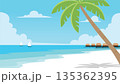 Minimal Tropical Beach Summer Scene 135362395