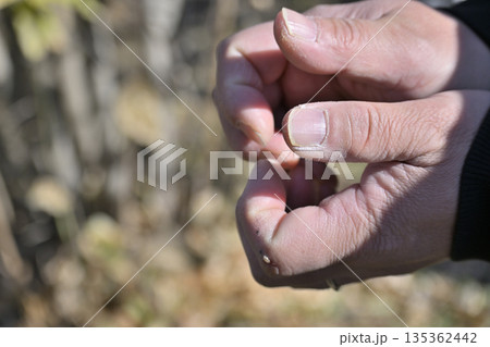 手荒れがひどい男性の手 手荒れがひどい男性の手 135362442