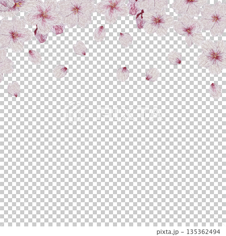 【桜の花のフレーム】手刺繍イラスト素材 135362494