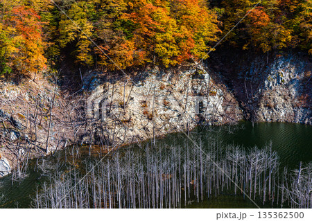 【栃木県_奥日光】湯西川ダム湖の紅葉と白い小立 11月 【栃木県_奥日光】湯西川ダム湖の紅葉と白い小立 11月 135362500