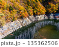 【栃木県_奥日光】湯西川ダム湖の紅葉と白い小立 11月 135362506