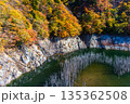 【栃木県_奥日光】湯西川ダム湖の紅葉と白い小立 11月 135362508