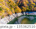 【栃木県_奥日光】湯西川ダム湖の紅葉と白い小立 11月 135362510