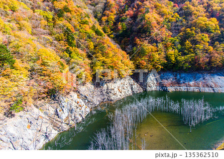 【栃木県_奥日光】湯西川ダム湖の紅葉と白い小立 11月 135362510