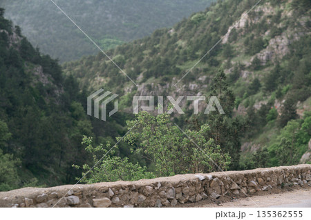 A mountain range with a green tree in the foreground. The mountain range is covered in trees and rocks. A mountain range with a green tree in the foreground. The mountain range is covered in trees and rocks. 135362555