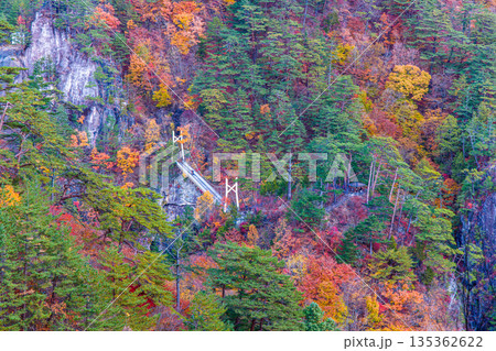 【栃木県_奥日光】紅葉と吊り橋の瀬戸合峡 11月 【栃木県_奥日光】紅葉と吊り橋の瀬戸合峡 11月 135362622