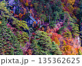 【栃木県_奥日光】紅葉と吊り橋の瀬戸合峡 11月 135362625