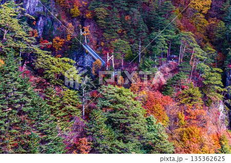 【栃木県_奥日光】紅葉と吊り橋の瀬戸合峡 11月 【栃木県_奥日光】紅葉と吊り橋の瀬戸合峡 11月 135362625