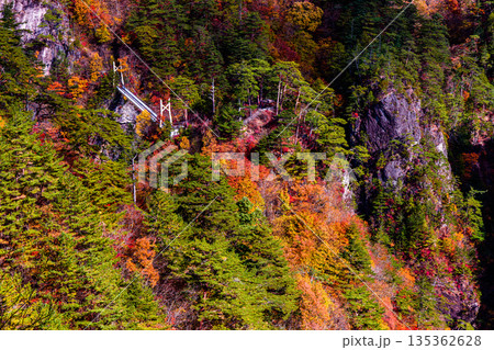 【栃木県_奥日光】紅葉と吊り橋の瀬戸合峡 11月 【栃木県_奥日光】紅葉と吊り橋の瀬戸合峡 11月 135362628