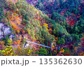 【栃木県_奥日光】紅葉と吊り橋の瀬戸合峡 11月 135362630