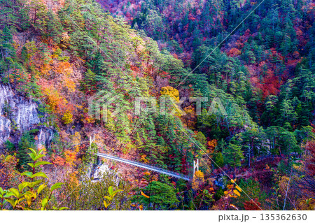 【栃木県_奥日光】紅葉と吊り橋の瀬戸合峡 11月 135362630