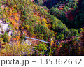 【栃木県_奥日光】紅葉と吊り橋の瀬戸合峡 11月 135362632
