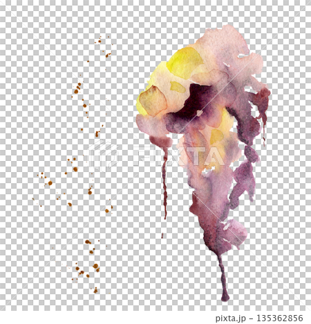 Soft watercolor drip in lavender and yellow shades, wisteria or lilac, perfume clouds, grape cluster. Hand drawn isolated illustration for feminine branding, wedding stationery and floral design. 135362856