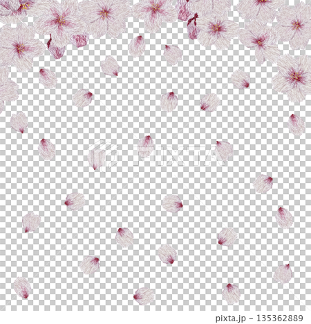 【桜の花のフレーム】手刺繍イラスト素材 【桜の花のフレーム】手刺繍イラスト素材 135362889