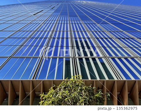 青空と高層ビルの外観　都市のオフィス街と新緑の植栽 135362975
