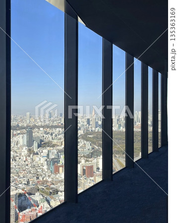 窓枠越しに望む東京の街並み 展望台からの青空とビル群 窓枠越しに望む東京の街並み 展望台からの青空とビル群 135363169