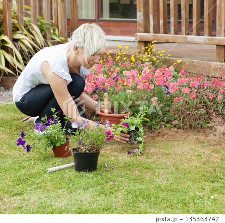 Woman crouching and planting potted flowers with hand trowel in backyard garden near wooden deck 135363747