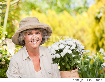 Mature woman wearing sun hat and holding potted chrysanthemum in garden under sunlight, copy space 135363844
