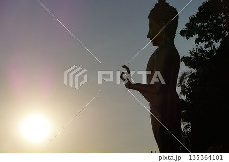 One golden, old Buddha statue of the temple in the blooming garden.Statues of the old temple. 135364101