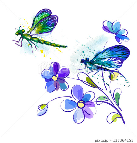Watercolor background with dragonflies and flowers 135364153