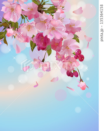 Vector vertical background with sakura branch of flowers in the sky Vector vertical background with sakura branch of flowers in the sky 135364158