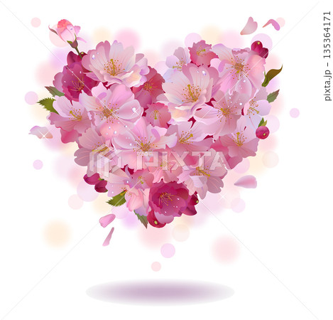 Cherry petal heart isolated on the white Cherry petal heart isolated on the white 135364171