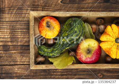 Apples and pumpkins with autumn leaves. Apples and pumpkins with autumn leaves. 135364237