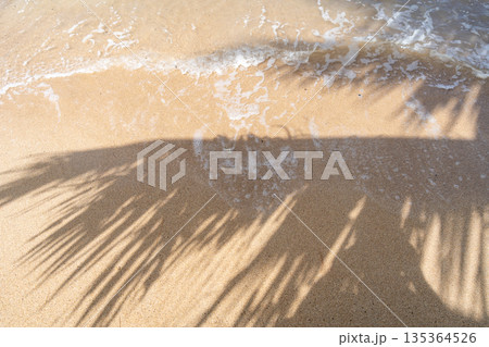 Palm tree shadow on Anaho Beach, Nuku Hiva, French Polynesia 135364526