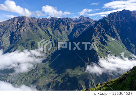 Colca Canyon with a clear blue sky, Peru 135364527