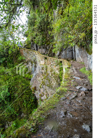 Ancient Inca trail leading to the Inca Bridge - Puente Inca - at Machu Picchu 135364531