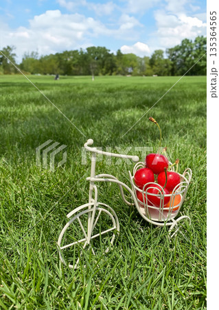 芝生と小物　自転車　サクランボ 135364565