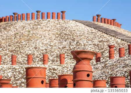 亀塚古墳公園　 135365033