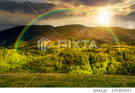 forested mountain slopes in springtime. lovely countryside landscape. mountainous rural area under the cloudy sky 135365057