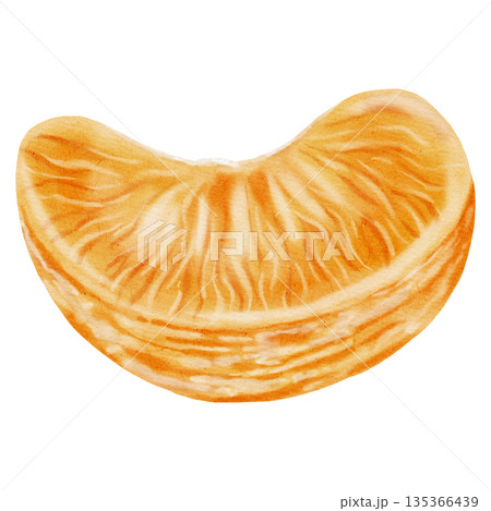 Peeled mandarin orange segments. Watercolor illustration of an orange tangerine. A tropical citrus fruit. Perfect for New Year designs, packaging, greeting cards, kitchen decor, branding, food blogs Peeled mandarin orange segments. Watercolor illustration of an orange tangerine. A tropical citrus fruit. Perfect for New Year designs, packaging, greeting cards, kitchen decor, branding, food blogs 135366439