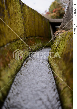 苔の生えた側溝 135366461