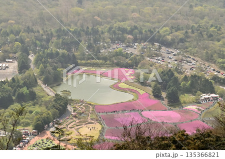 竜ヶ岳から見た富士芝桜まつり 竜ヶ岳から見た富士芝桜まつり 135366821
