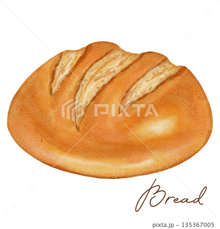 Watercolor illustration of a soft, round loaf of white bread. Bakery products. Perfect for bakery menus, food packaging, rustic kitchen decor, and simple, classic baking concepts. 135367005