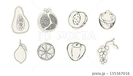 Fruit doodle sketch hand drawn set tropical and garden fruits and berries. Decorative vector elements for poster, placard, greeting card, menu or wedding invitation 135367016