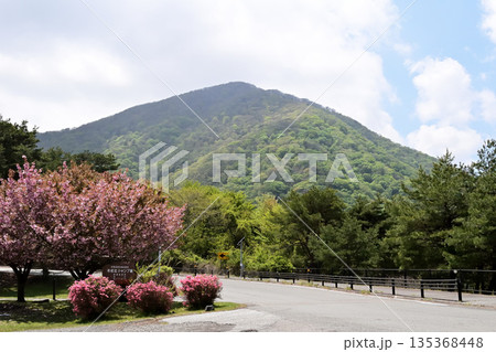 本栖湖キャンプ場 135368448