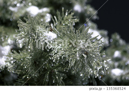 Magical night view of frozen evergreen branches in a snowy winter park. 135368524