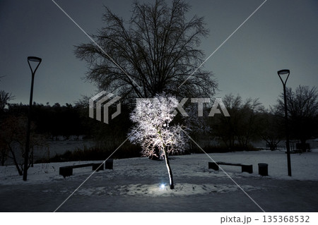 A glowing tree covered in snow sparkles under the dark night sky. A glowing tree covered in snow sparkles under the dark night sky. 135368532
