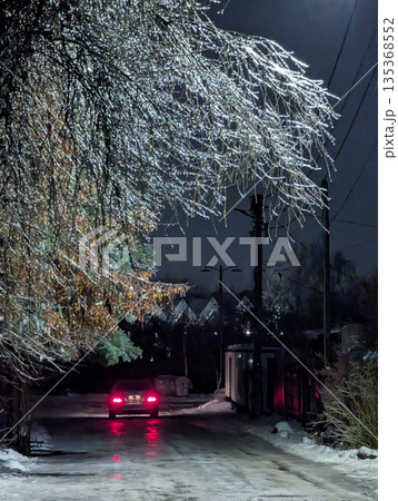 icy tree branches covered with fresh snow in the evening 135368552